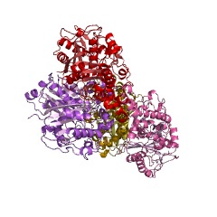 Example Structure of beta-ketoacyl-[acyl-carrier-protein] synthase I EC#: 2.3.1.41