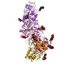 Example Structure of phosphatidylcholine-sterol O-acyltransferase EC#: 2.3.1.43
