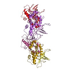 Example Structure of arylamine N-acetyltransferase EC#: 2.3.1.5
