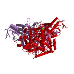 Example Structure of formate C-acetyltransferase EC#: 2.3.1.54