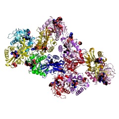 Example Structure of 2,3-diaminopropionate N-oxalyltransferase EC#: 2.3.1.58