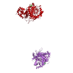 Example Structure of choline O-acetyltransferase EC#: 2.3.1.6