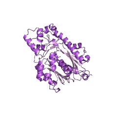 Example Structure of chalcone synthase EC#: 2.3.1.74