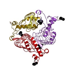 Example Structure of maltose O-acetyltransferase EC#: 2.3.1.79