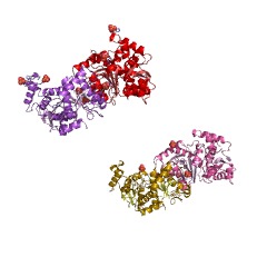 Example Structure of phosphate acetyltransferase EC#: 2.3.1.8
