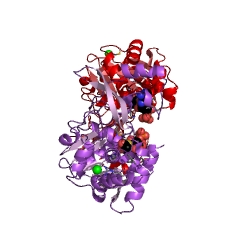 Example Structure of aminoglycoside 3-N-acetyltransferase EC#: 2.3.1.81
