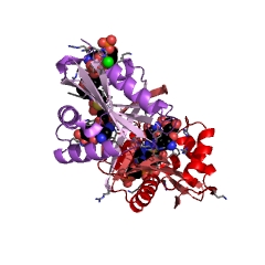 Example Structure of aminoglycoside 6'-N-acetyltransferase EC#: 2.3.1.82