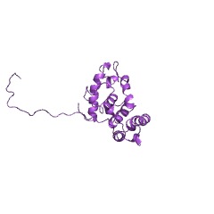Example Structure of fatty-acyl-CoA synthase system EC#: 2.3.1.86
