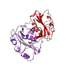 Example Structure of aralkylamine N-acetyltransferase EC#: 2.3.1.87