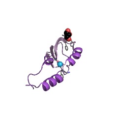 Example Structure of tetrahydrodipicolinate N-acetyltransferase EC#: 2.3.1.89