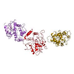 Example Structure of 6-deoxyerythronolide-B synthase EC#: 2.3.1.94