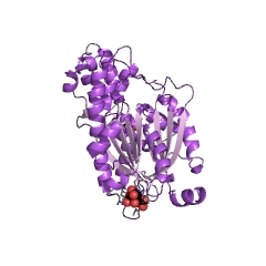 Example Structure of trihydroxystilbene synthase EC#: 2.3.1.95