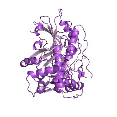 Example Structure of quinate O-hydroxycinnamoyltransferase EC#: 2.3.1.99