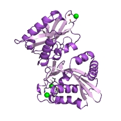 Example Structure of UDP-N-acetylmuramoylpentapeptide-lysine N6-alanyltransferase EC#: 2.3.2.10