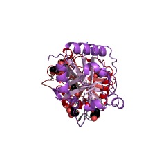 Example Structure of peptidyltransferase EC#: 2.3.2.12