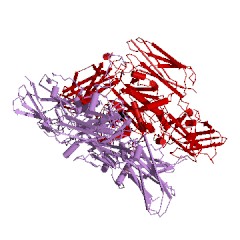 Example Structure of protein-glutamine gamma-glutamyltransferase EC#: 2.3.2.13