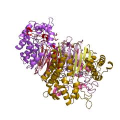 Example Structure of gamma-glutamyltransferase EC#: 2.3.2.2