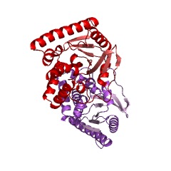 Example Structure of cyclo(L-tyrosyl-L-tyrosyl) synthase EC#: 2.3.2.21