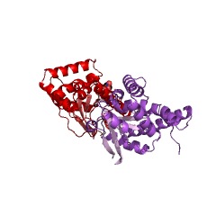Example Structure of cyclo(L-leucyl-L-leucyl) synthase EC#: 2.3.2.22