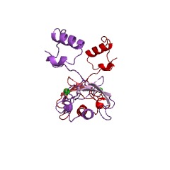 Example Structure of N-terminal E2 ubiquitin-conjugating enzyme EC#: 2.3.2.25