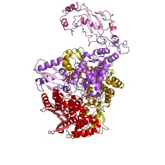 Example Structure of HECT-type E3 ubiquitin transferase EC#: 2.3.2.26