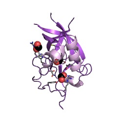 Example Structure of gamma-glutamylcyclotransferase EC#: 2.3.2.4
