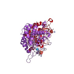 Example Structure of glutaminyl-peptide cyclotransferase EC#: 2.3.2.5