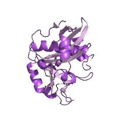 Example Structure of lysine/arginine leucyltransferase EC#: 2.3.2.6