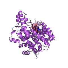 Example Structure of citrate (Si)-synthase EC#: 2.3.3.1