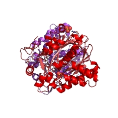 Example Structure of hydroxymethylglutaryl-CoA synthase EC#: 2.3.3.10