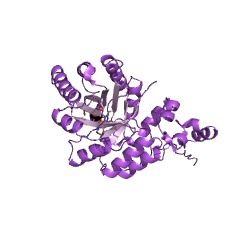 Example Structure of homocitrate synthase EC#: 2.3.3.14