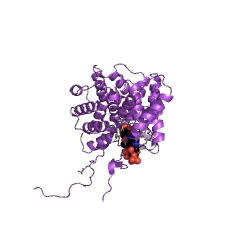 Example Structure of 2-methylcitrate synthase EC#: 2.3.3.5