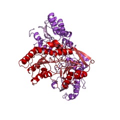 Example Structure of ATP citrate synthase EC#: 2.3.3.8