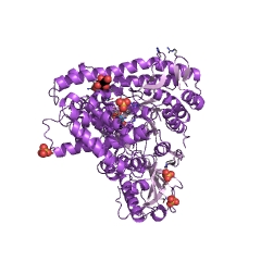 Example Structure of malate synthase EC#: 2.3.3.9