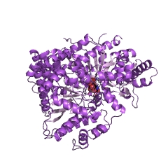 Example Structure of glycogen phosphorylase EC#: 2.4.1.1