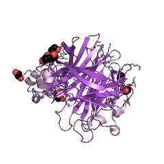 Example Structure of levansucrase EC#: 2.4.1.10
