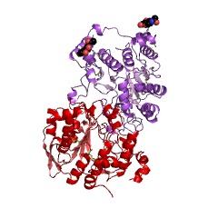 Example Structure of beta-1,3-galactosyl-O-glycosyl-glycoprotein beta-1,6-N-acetylglucosaminyltransferase EC#: 2.4.1.102