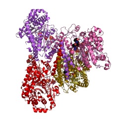 Example Structure of glycogen(starch) synthase EC#: 2.4.1.11