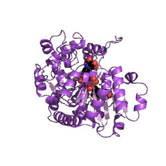 Example Structure of anthocyanidin 3-O-glucosyltransferase EC#: 2.4.1.115