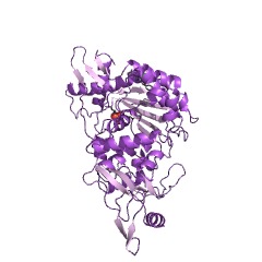 Example Structure of peptidoglycan glycosyltransferase EC#: 2.4.1.129