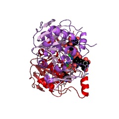 Example Structure of galactosylgalactosylxylosylprotein 3-beta-glucuronosyltransferase EC#: 2.4.1.135
