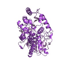 Example Structure of sucrose-phosphate synthase EC#: 2.4.1.14