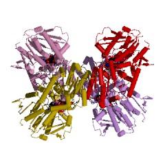 Example Structure of alpha,alpha-trehalose-phosphate synthase (UDP-forming) EC#: 2.4.1.15