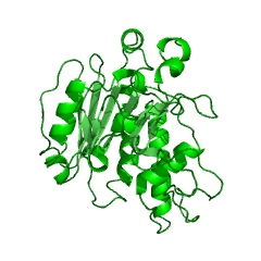 Example Structure of N-acetyllactosaminide alpha-1,3-galactosyltransferase EC#: 2.4.1.151