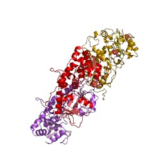 Example Structure of 4-galactosyl-N-acetylglucosaminide 3-alpha-L-fucosyltransferase EC#: 2.4.1.152