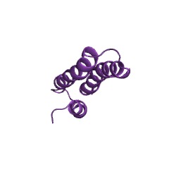 Example Structure of chitin synthase EC#: 2.4.1.16