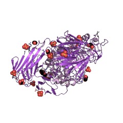 Example Structure of oligosaccharide 4-alpha-D-glucosyltransferase EC#: 2.4.1.161