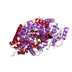 Example Structure of sterol 3beta-glucosyltransferase EC#: 2.4.1.173