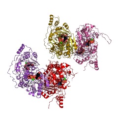 Example Structure of glucuronosyl-N-acetylgalactosaminyl-proteoglycan 4-beta-N-acetylgalactosaminyltransferase EC#: 2.4.1.175