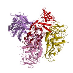 Example Structure of 1,4-alpha-glucan branching enzyme EC#: 2.4.1.18